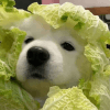 1002595