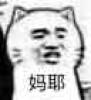 10354