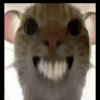 1126723