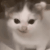 1131812