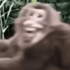 1179149