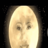 1236943