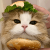 1278980