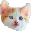 1285350