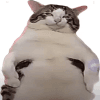 1347350