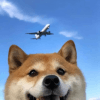 1446679