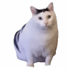 1517191