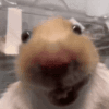 1517827