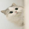 1629809