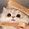 1665345