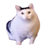 1781123