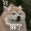 433875