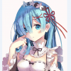 49273