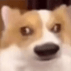 511793