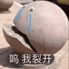 543559