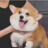 560868