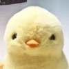 678445
