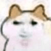 728503