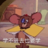 737038