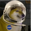 742228