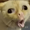 752546