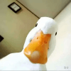 765573