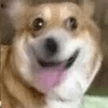 777173