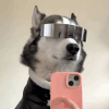 804959
