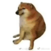 885777